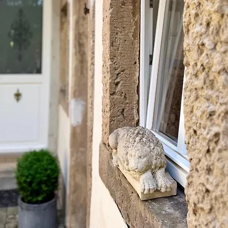 Cosy In Der Herbstes Segen Im Elbhang Von Loschwitz Apartamento