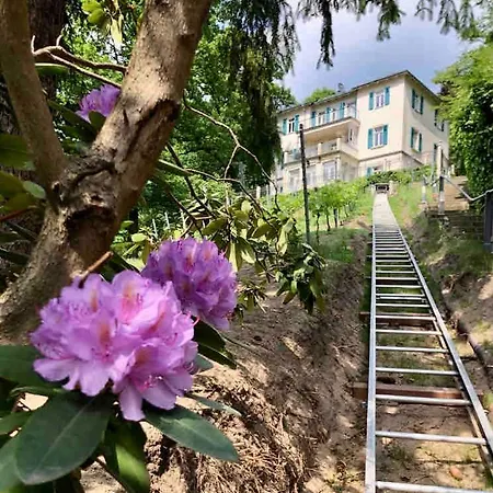 Apartamento Cosy In Der Herbstes Segen Im Elbhang Von Loschwitz